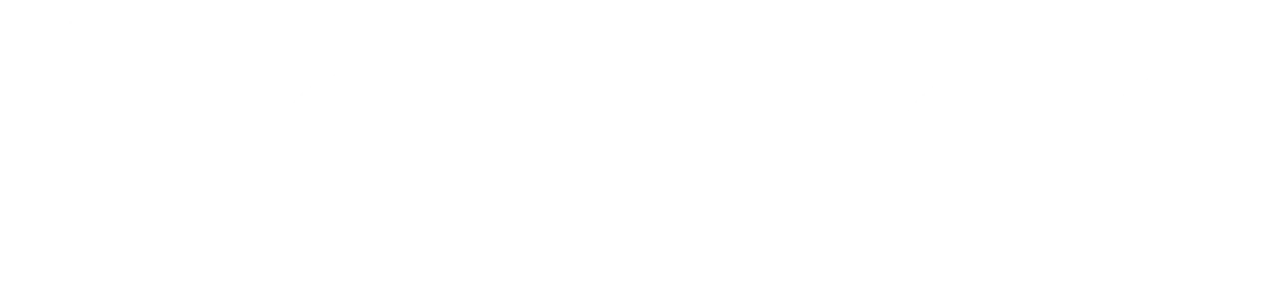 Brother-logo